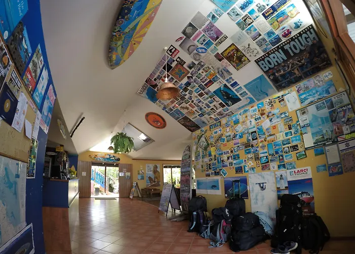Hostel: Cool Bananas Backpackers